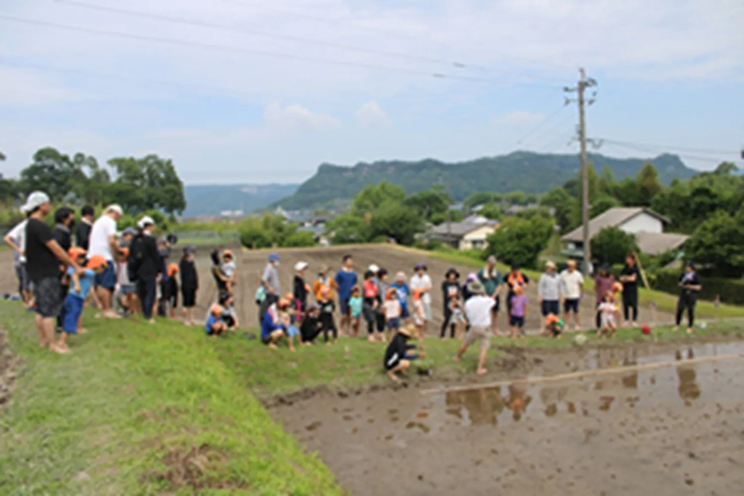 沢山実りますように