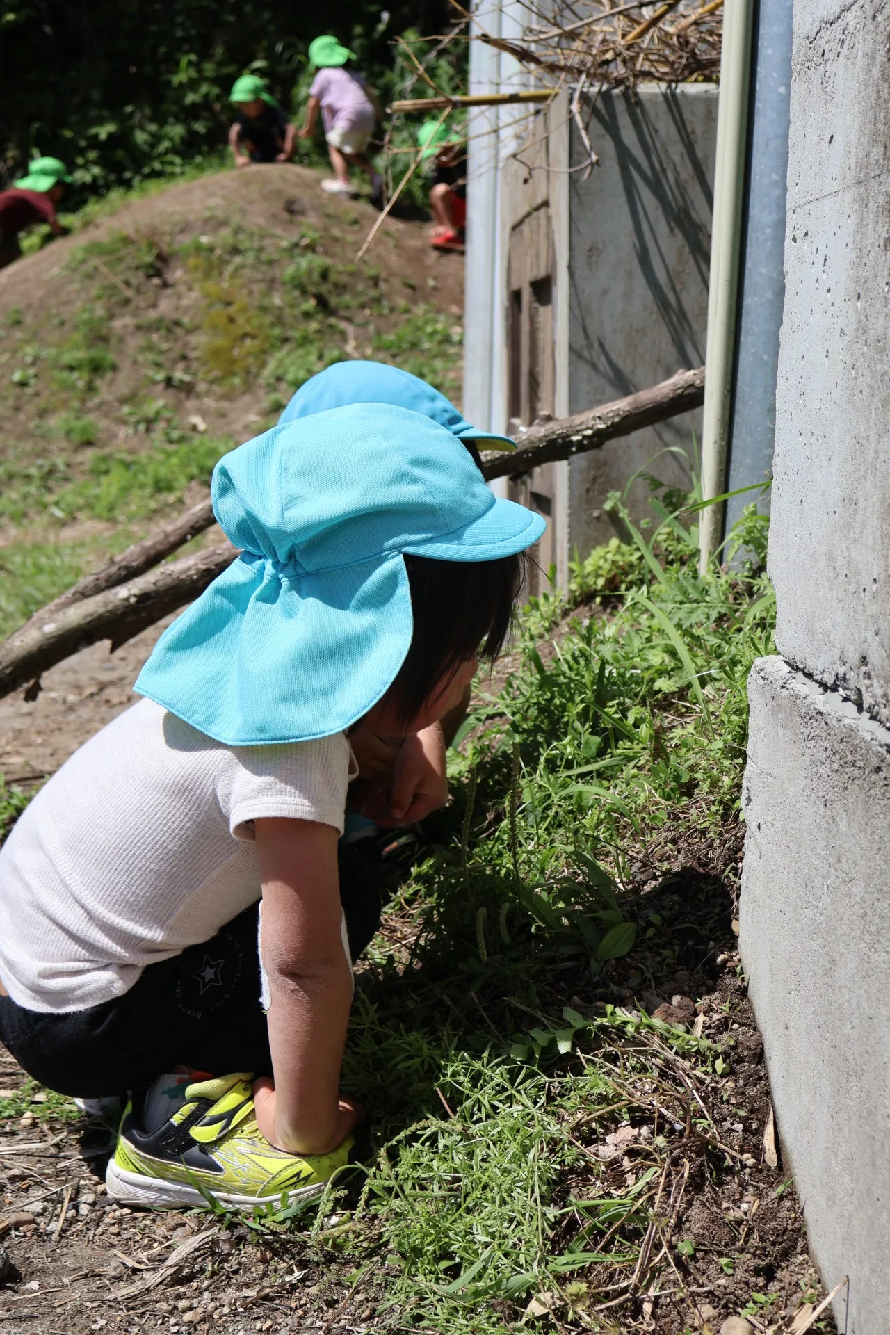 第2ひつじ組 ぞう組 2026年4月(第3週)